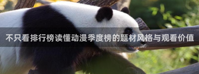 拷贝动漫