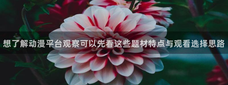 好看的动漫推荐国漫:想了解动漫平台观察可以先看这些题材特点与观看选择思路