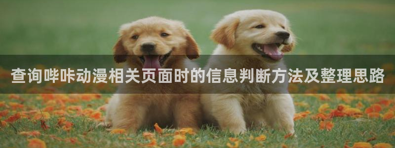 动漫之家下载app