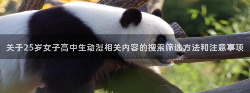 动漫之家其他动漫