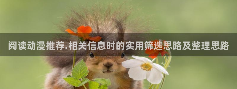 漫漫动漫