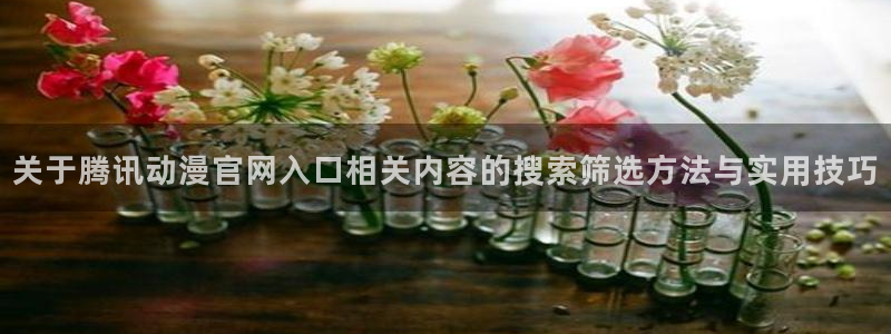 动漫岛