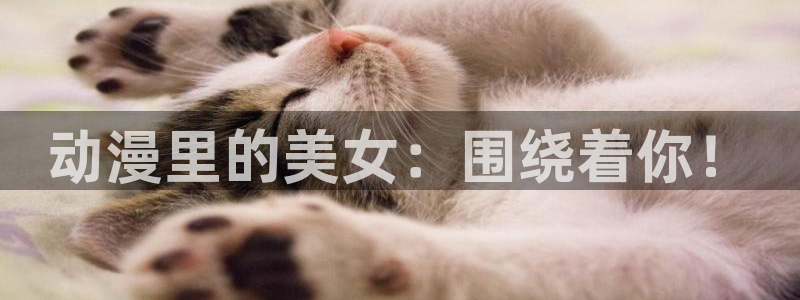 动漫之岛